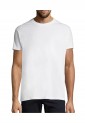 Men's T-Shirt With Print On The Back WTH666