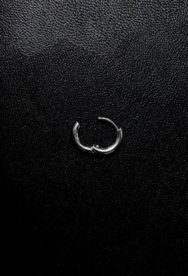 Women’s Stainless Steel Single Hoop Earring 527349