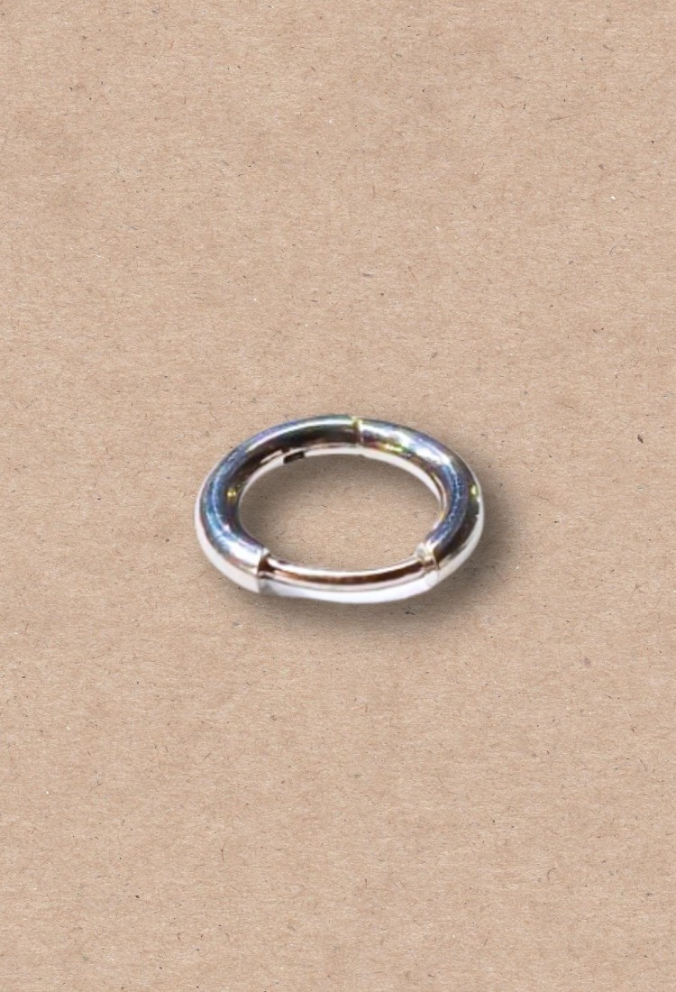 Women’s Stainless Steel Single Hoop Earring 527349