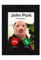 Ανδρική κοντομάνικη μπλούζα John Pork Is Calling από 100% βαμβάκι