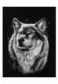 Black men's short sleeve wolf screen print t-shirt made from 100% cotton