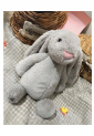 Plush Bunny TOY881