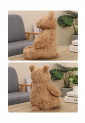 Teddy Bear TOY887