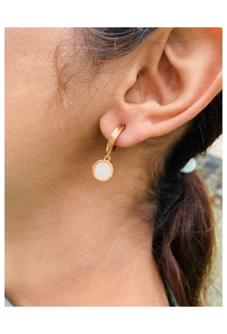 Hoop Earrings WER314