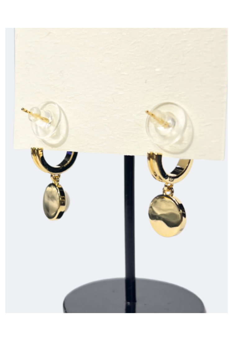 Hoop Earrings WER314