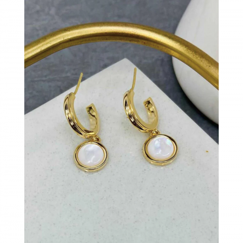 Hoop Earrings WER314
