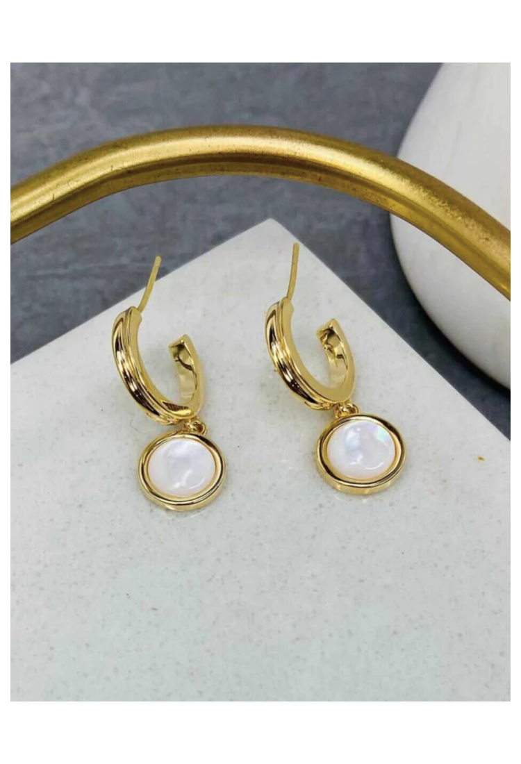 Hoop Earrings WER314