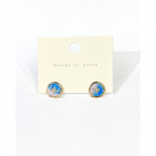 Handmade Enamel Earrings WER322
