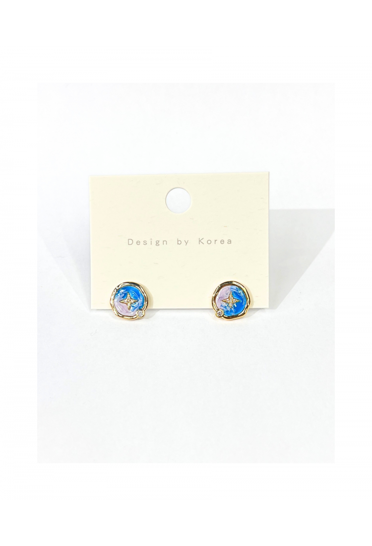 Handmade Enamel Earrings WER322