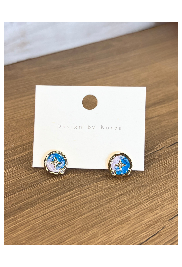 Handmade Enamel Earrings WER322
