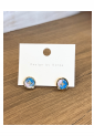 Handmade Enamel Earrings WER322