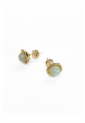 Brass Stud Earrings WER323